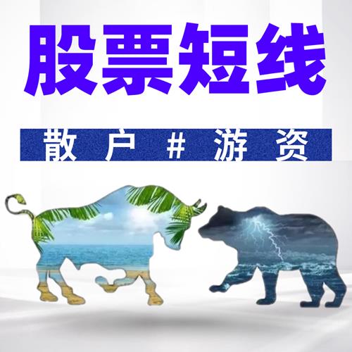 毛毛老师游资短线复利增长游资短线溢价术视频课