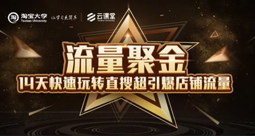 流量聚金14天快速玩转直搜，超引爆店铺流量