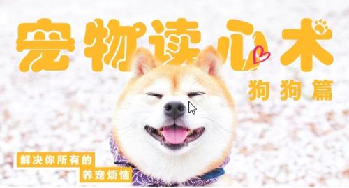 宠物读心术：解决你的养狗烦恼