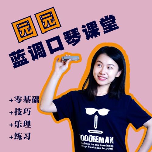 抖音同款 园园老师蓝调口琴课堂（零基础）