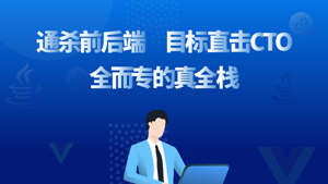 java全栈工程师：从java后端到全栈，高级电商全栈系统大课