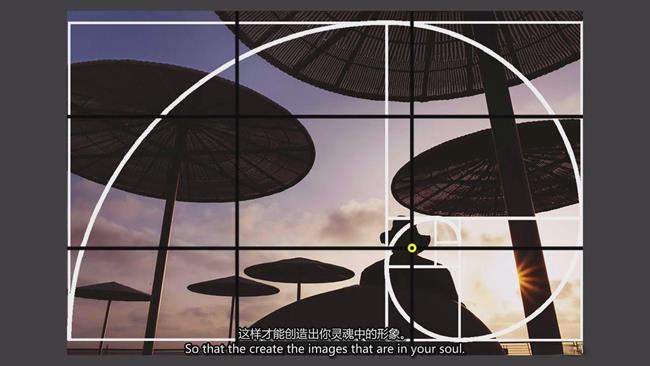 [摄影入门教程] 著名摄影师 Denis Buchel最全面的摄影构图大师班教程-中英字幕