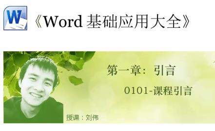 【稀有资源】Excel刘伟-Word应用大全（62集全）