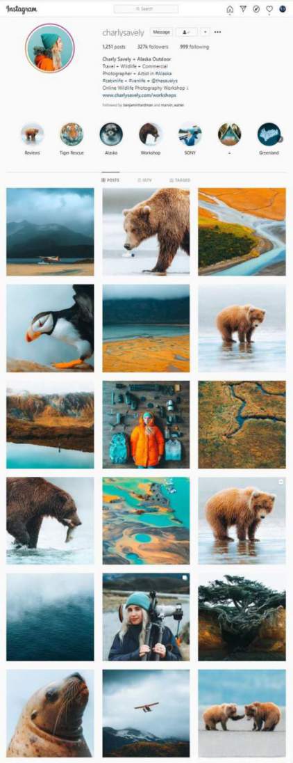 [风光摄影教程] 摄影师Charlysavely 野生动物摄影技巧及后期编辑教程-中英字幕