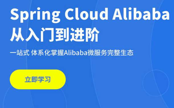 【稀有好课】面向未来微服务:Spring Cloud Alibaba从入门到进阶