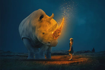 国外高端唯美幻想创意人像合成 Picture Fun 系列PS教程260套