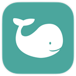 NAMO 2.0.1  DNS服务器工具