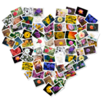 FigrCollage 3.3.7 照片拼贴工具