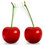 Magic Cutter 1.9  音乐编辑软件