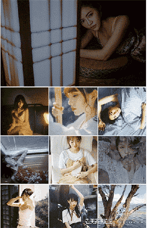 土司与大象 第七期