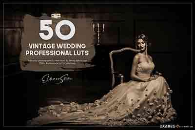 50个老式婚礼人像复古胶片免费LUTs预设/LR预设 50 Vintage Wedding LUTs Pack
