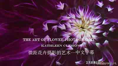 [风光]Kathleen Clemons-The Art of Flower Photography微距花卉摄影-中文字幕