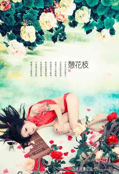 [写真]盘子写真古装PSD模板-憩花枝