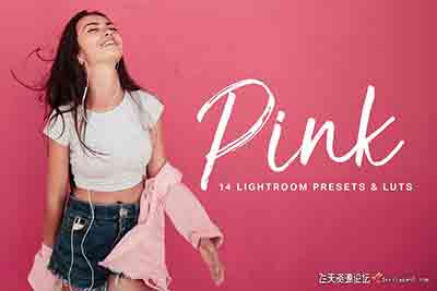高雅粉色电影视频调色LUTs预设合集 支持AE/PR/PS/达芬奇/SG