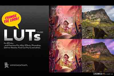 20组很棒的电影色彩LUTs预设PS/AE/PR/FCPX/达芬奇调色LUTs预设