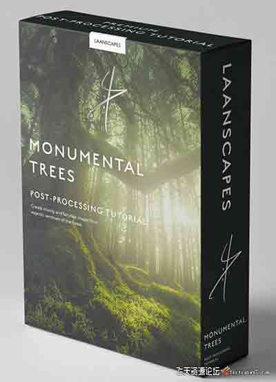 [风光]Laanscape-风光摄影大师Daniel Laan纪念树森林风光全流程及素材-中文字幕