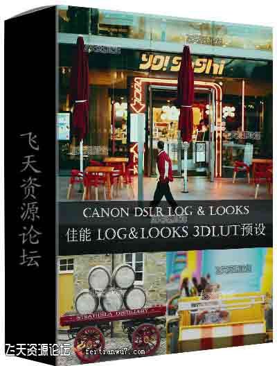 佳能 Canon DSLR LOG3 & LOOKS pf3 Profiles +专业视频调色LUTs预设下载