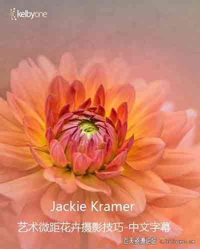 [风光]KelbyOne-花卉摄影师Jackie Kramer艺术微距花卉摄影技巧-中文字幕