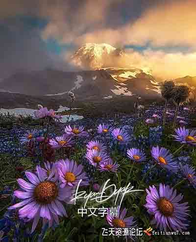 [风光]风光摄影师RYAN DYAR风光摄影后期综合调色处理教程-中文字幕