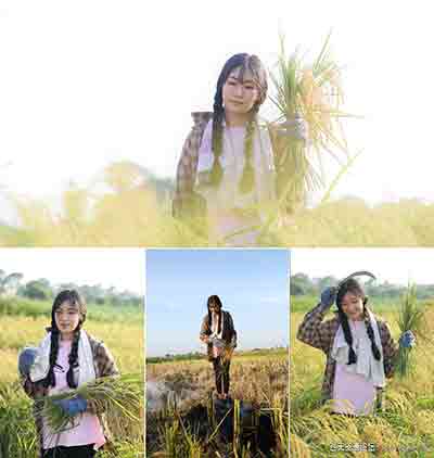 35张秋天稻田美女人像尼康D750和佳能5D3RAW原片修图素材-摄影RAW原片