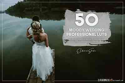 50个LUTs预设下载-喜怒无常电影风格情绪婚礼人像LUTs预设