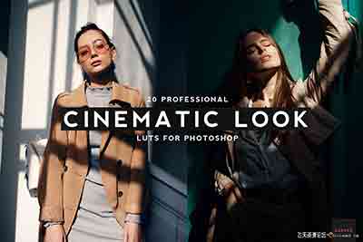 20个专业视频调色LUT预设20 Professional Cinematic Look LUTS
