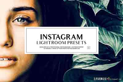 [免费]免费50个Ins博客复古胶片人像Lightroom预设Instagram -Lightroom预设