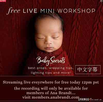 [新生儿童]新生儿摄影师Ana Brandt新生儿摆姿包裹造型网络课程-中文字幕