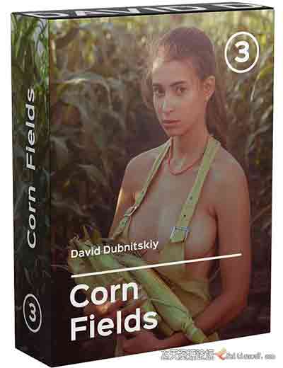 [私房]David Dubnitskiy 私房人像摄影秘诀之3-玉米地人像摄影-中文字幕