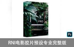 lr预设RNI胶片预设专业完整版 RNI All Films 5 Pro