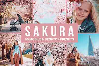 日系樱花日本旅拍LR预设+3DLUT预设 Sakura Lightroom Presets and LUTs