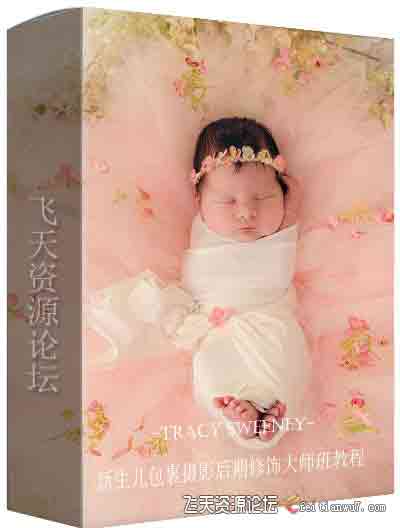 [新生儿童]​摄影师Tracy Sweeney新生儿包装裹布摄影后期修饰大师班教程-中文字幕