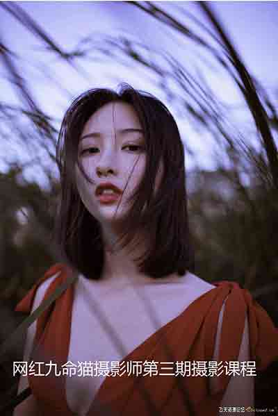 网红九命猫摄影师第三期摄影后期课程