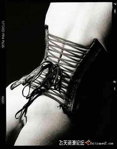 [私房]德国人体摄影Studiofotografie 人体魅力私房摄影布光视频教程-中文字幕