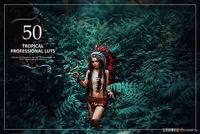50个热带雨林森系电影人像LUTs预设 支持AE/PR/PS/达芬奇/SG/FCPX