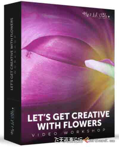 [产品静物]著名摄影师Denise Love创意花卉静物摄影及后期教程-中文字幕