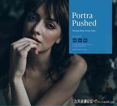 [胶片]马斯丁工作室情绪胶片3.0-Mastin Labs Preset v3.0-Portra Pushed