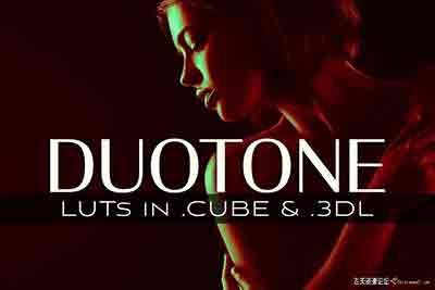 3D LUTs-双色调视频调色LUTs预设下载 3d LUTs-Duotone