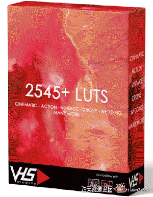 2545个电影级创意VLOG时尚婚礼人物环境复古VHS-LUTs预设合集