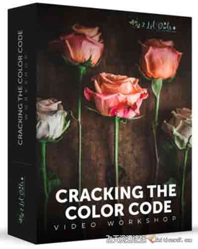 [产品静物]Lenslab –静物花卉产品摄影掌握色彩突破艺术界限研讨会-中文字幕