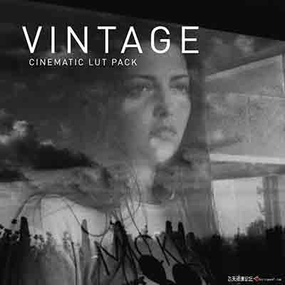 复古质感黑白电影胶片LUT预设 NoamKroll-Cinematic LUTs: Vintage
