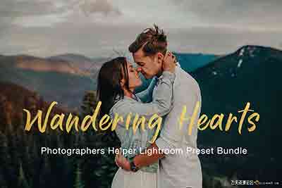 [婚礼]婚礼人像电影胶片Lightroom预设合集 Wandering Hearts LR Preset Bundle