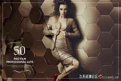 50 Pro Film LUTs (Look Up Tables)