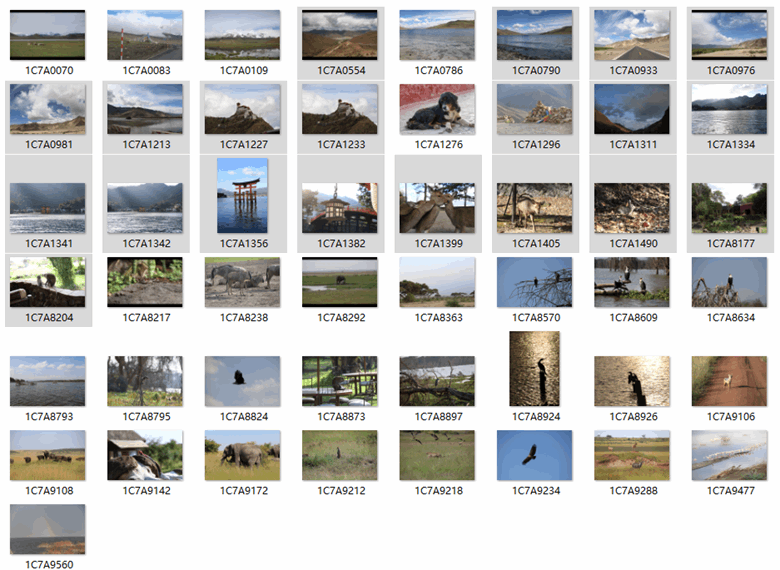 50长RAW风景RAW原片