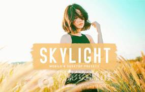 lr预设清新明亮胶片人像PS/LR预设，PS调色动作，手机LR预设