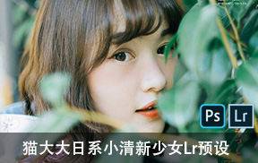 lr预设猫大大期日系小清新少女人像PS LR预设