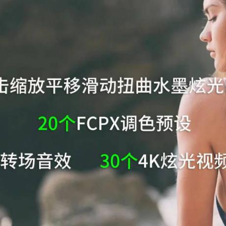 FCPX冲击缩放平移滑动扭曲水墨炫光转场插件  286个含音效素材