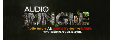 AudioJungle - Best Collection 独家最新最全合集