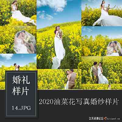 [影楼]婚纱影楼婚纱样片外景油菜花花海摄影主题放大样片