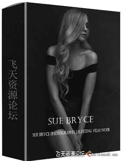 [人像]摄影师 Sue Bryce 如何用自然光创建黑暗低光照电影图像-中文字幕